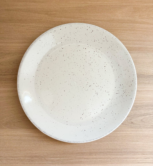PLATO LLANO TIERRA